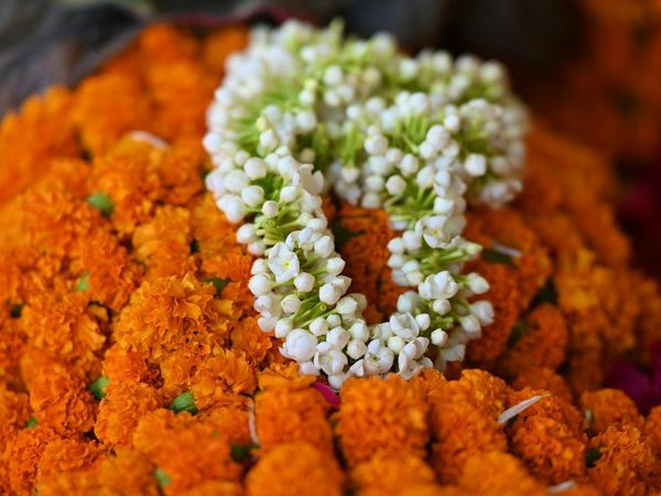 Iconic Cultural Festivals in 2026 and Why They Matter