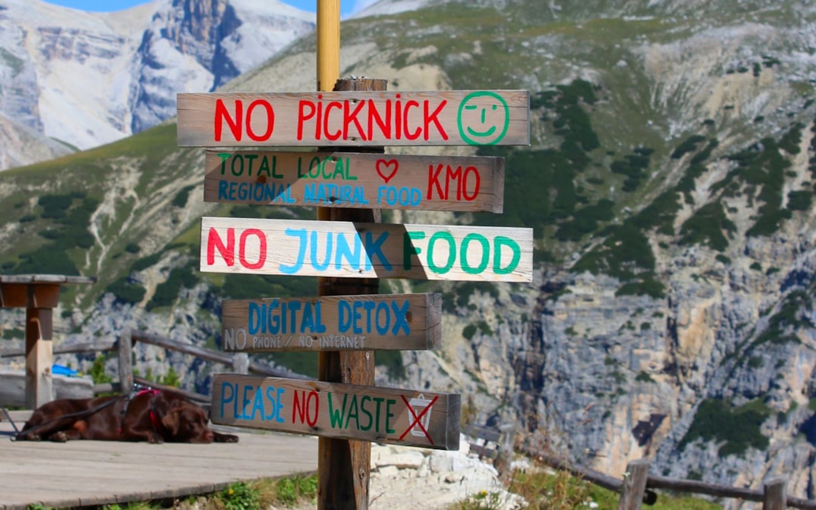 The Digital Detox That Doesn't Rebound