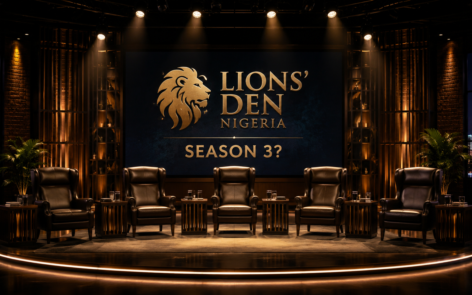 Lions' Den Nigeria: The Show, the Lions, and Why There's No Season 3 (Yet)