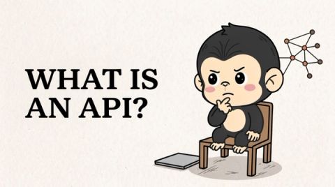 What Is an API? A Plain-English Guide for Beginners