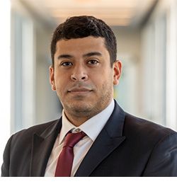 Dr. Islam M. Mantawy, PhD, PE