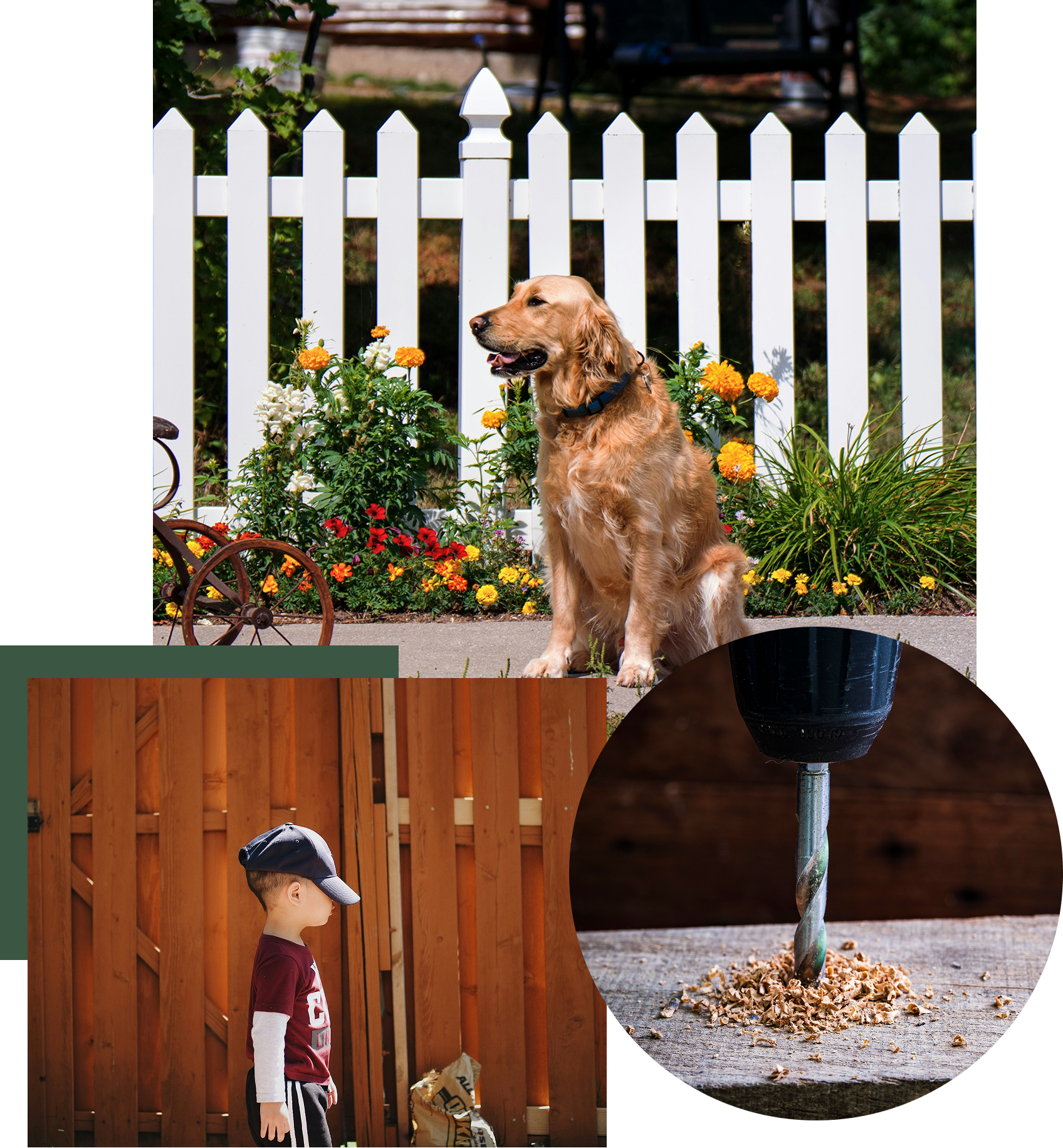 dog and child in front of fence