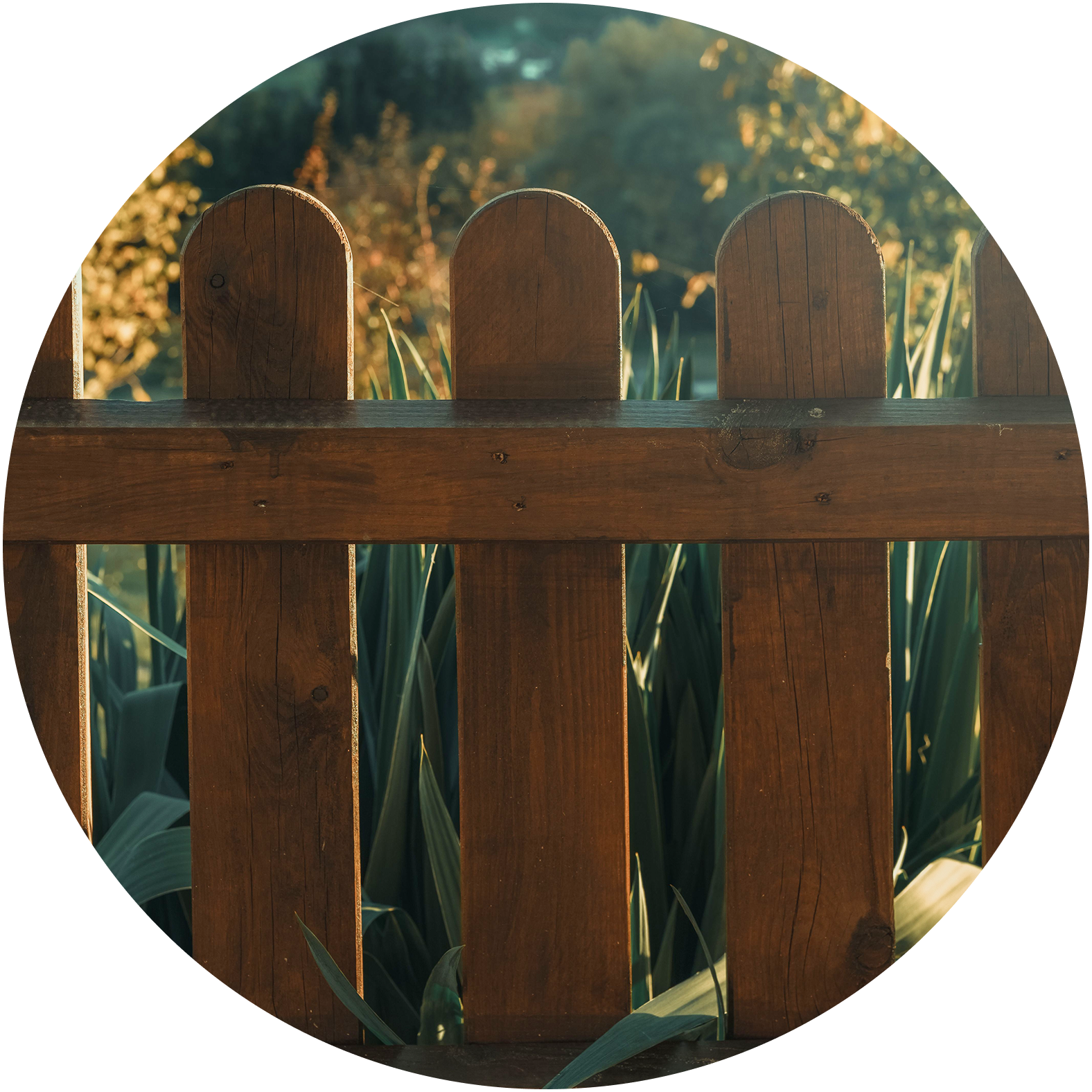 wooden fence in front of plants