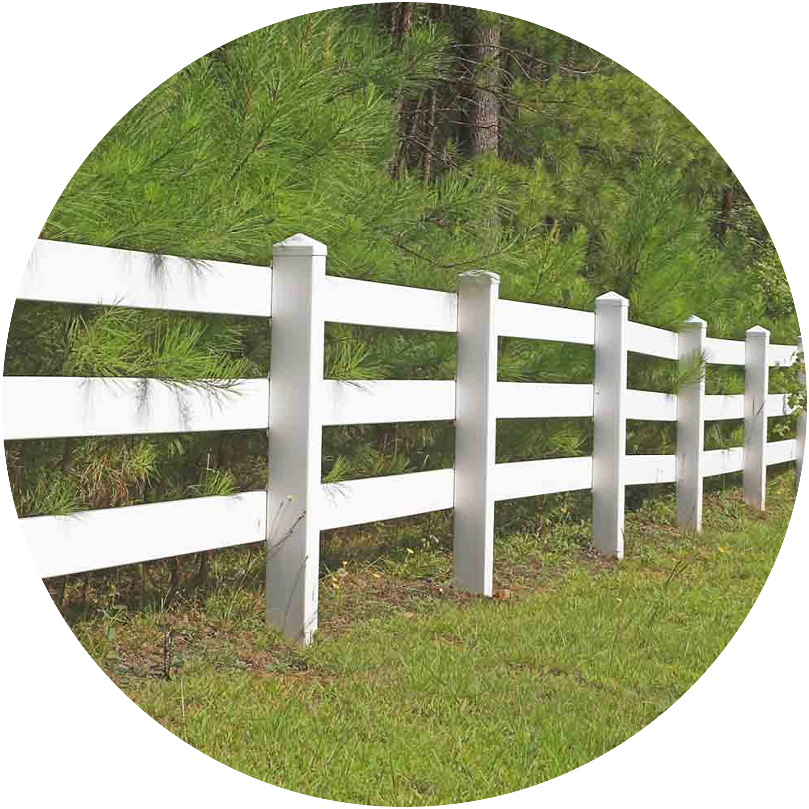 white fence