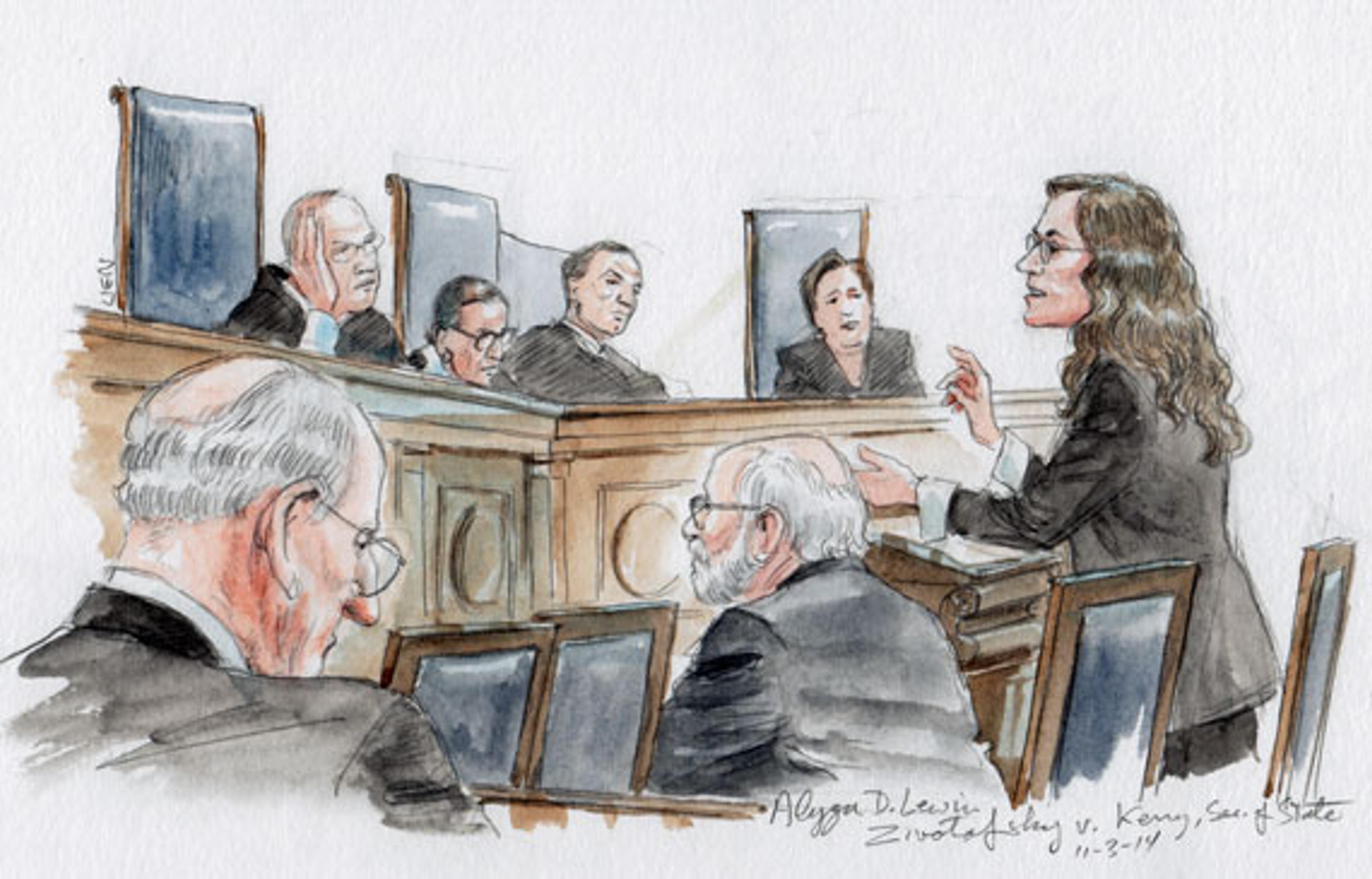 Alyza D. Lewin (Art Lien)