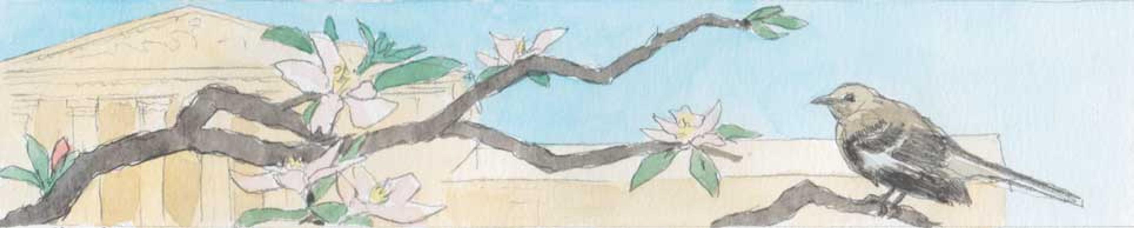 A false choice between state sovereignty and multi-racial democracy