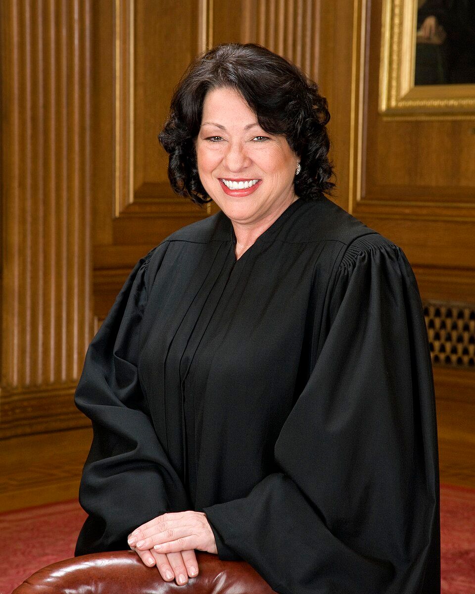 Official portrait of Sonia Maria Sotomayor