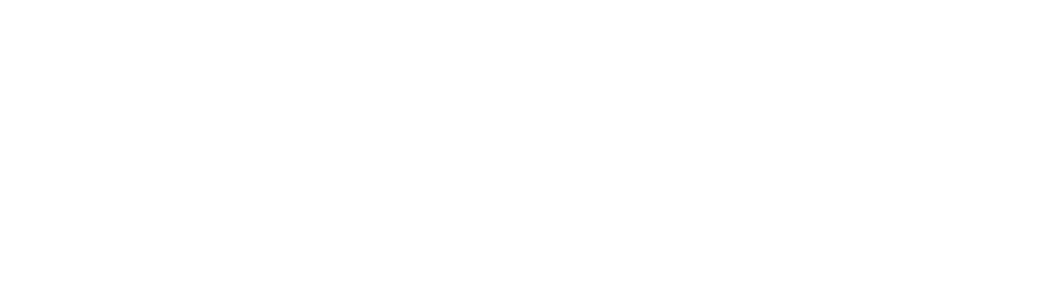ORGANIZER