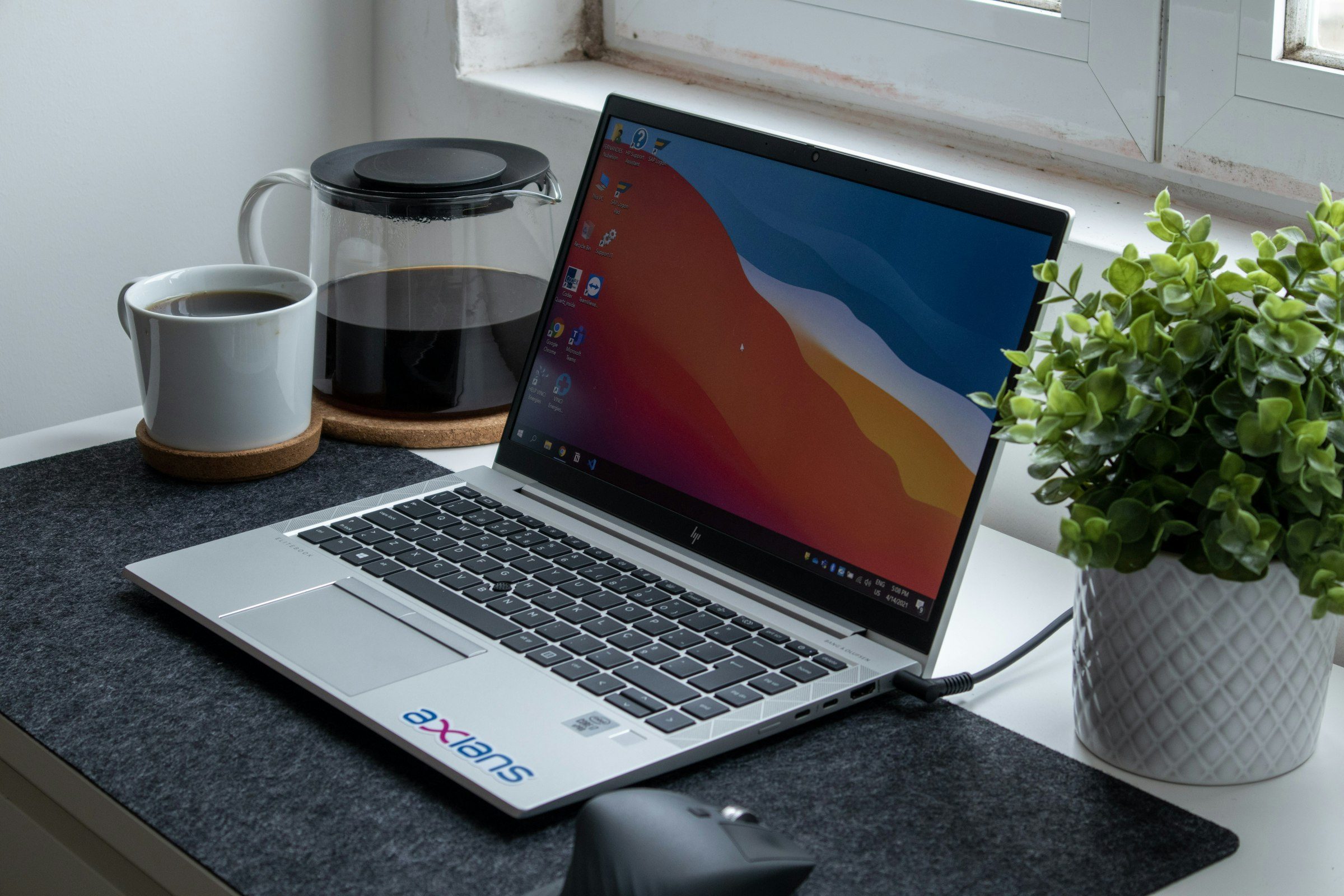 A laptop on a desk with a plant
