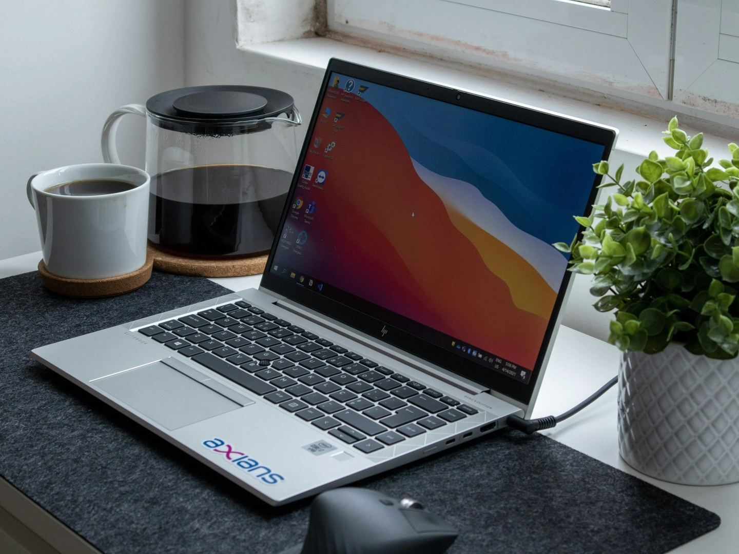A laptop on a desk with a plant