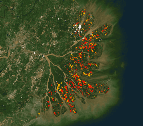 Global Shrimp GHG Emissions