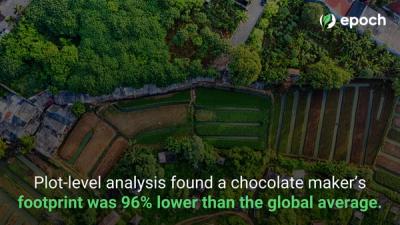 Plot-level analysis found a chocolate maker’s footprint was 96% lower than the global average.