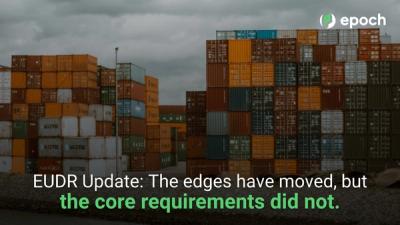 EUDR Update: The edges have moved, but the core requirements did not. Image of shipping containers.