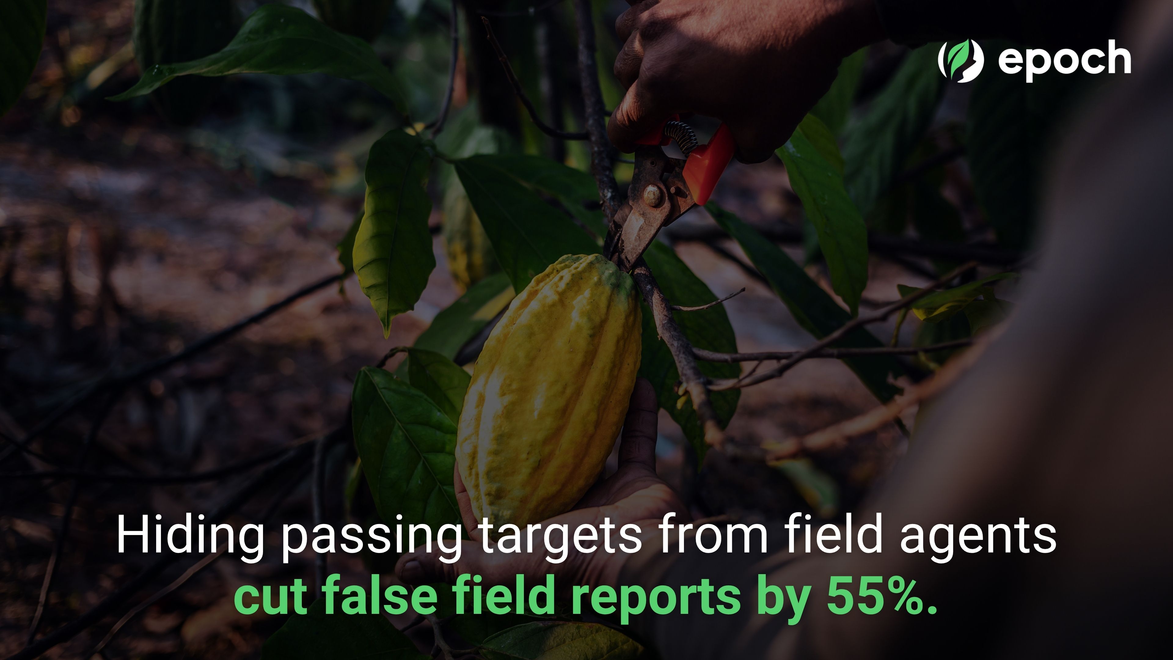 How Audit Data Gets Manipulated