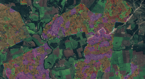 Sampling Design Whitepaper