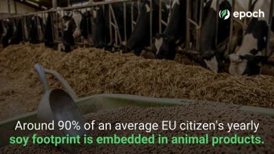 Around 90% of an average EU citizen's yearly soy footprint is embedded in animal products.