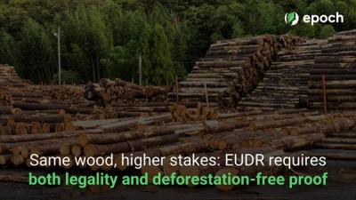 Same wood, higher stakes: EUDR compliance requires both legality and deforestation-free proof.