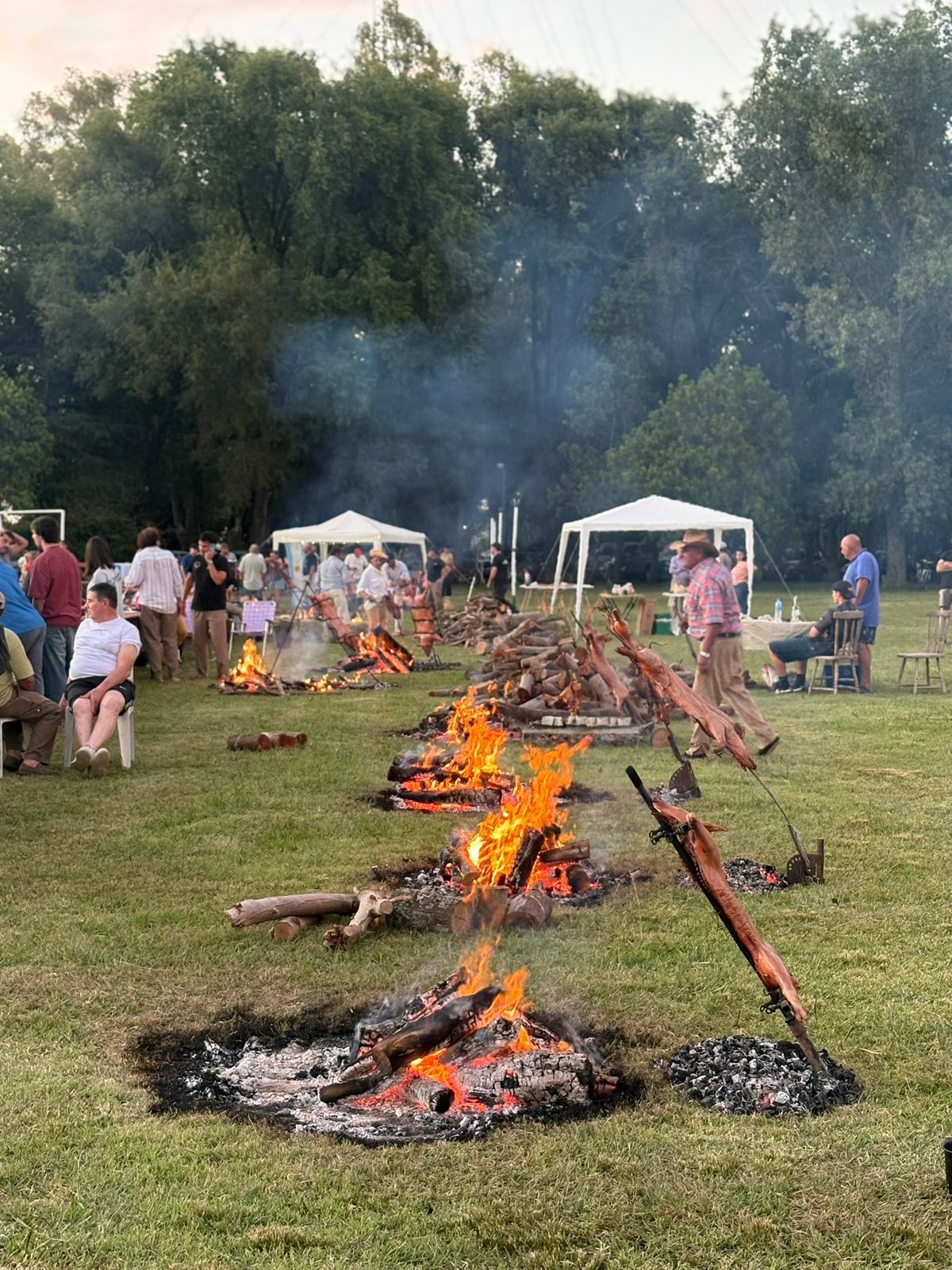  Jornadas y Experiencias Únicas