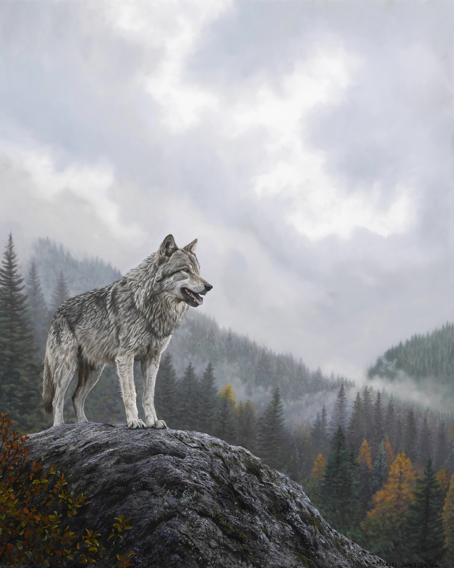 The Edge of Wilderness