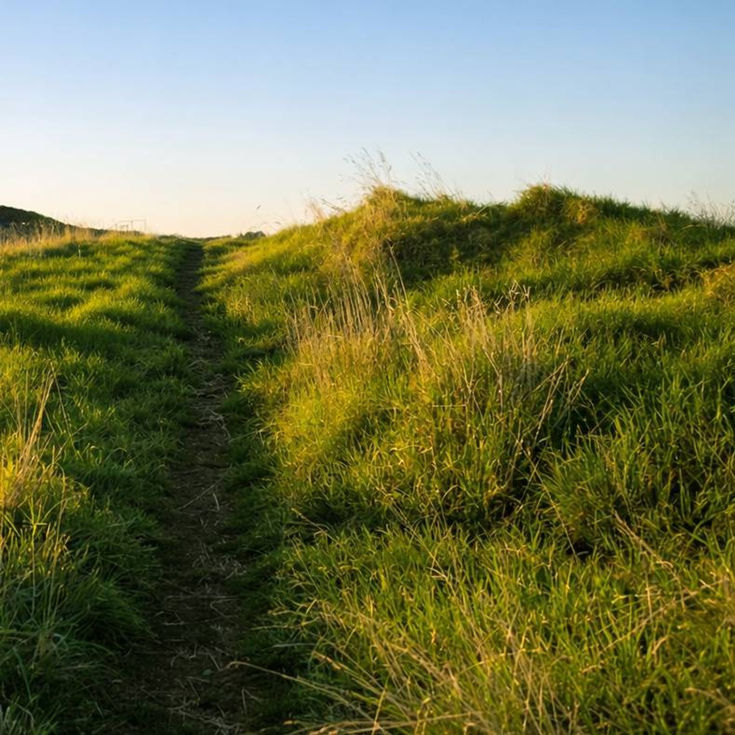 Painting Natural Looking Grass