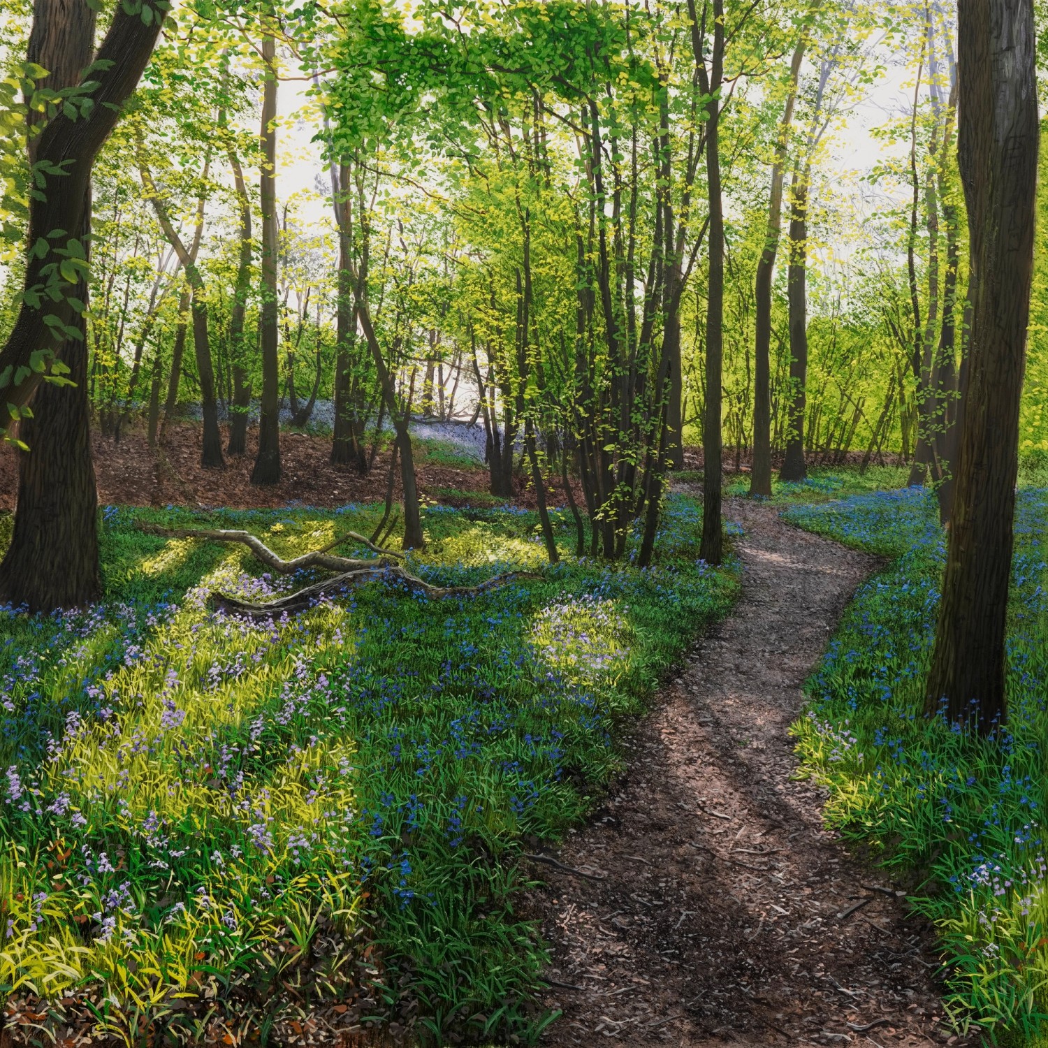 Blakes Wood