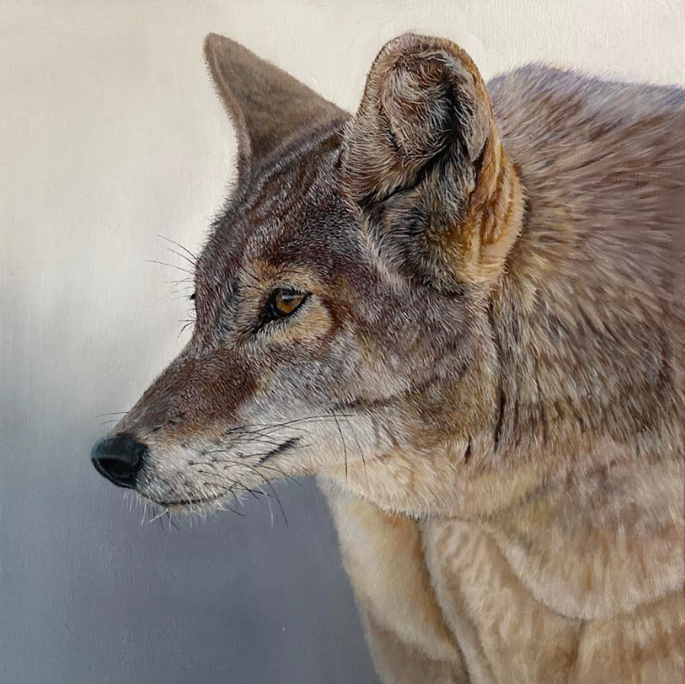 Painting by an MJS TV member