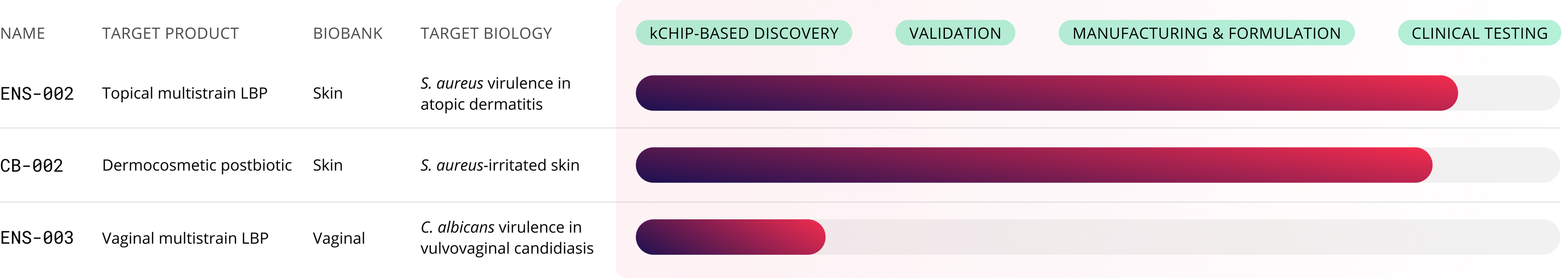 Concerto Product Pipeline