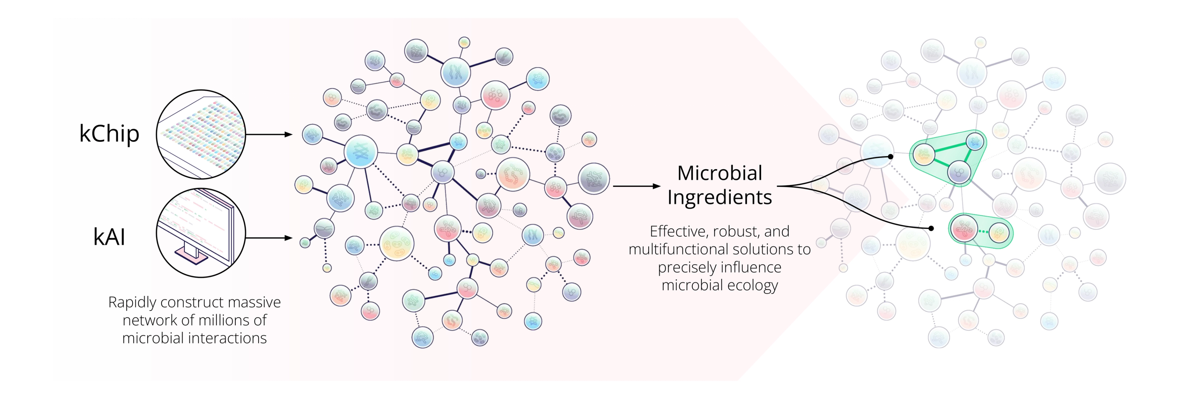 Concerto's platform combines millions of empirical measurements of microbial combinations (kChip) and an AI model of microbial ecology (kAI) to rapidly identify effective, robust, and multifunctional microbial ingredients