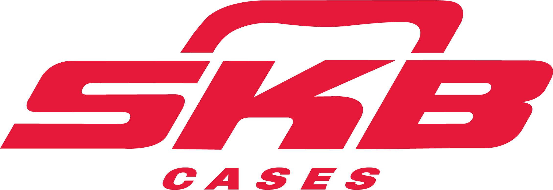 www.skbcases.com