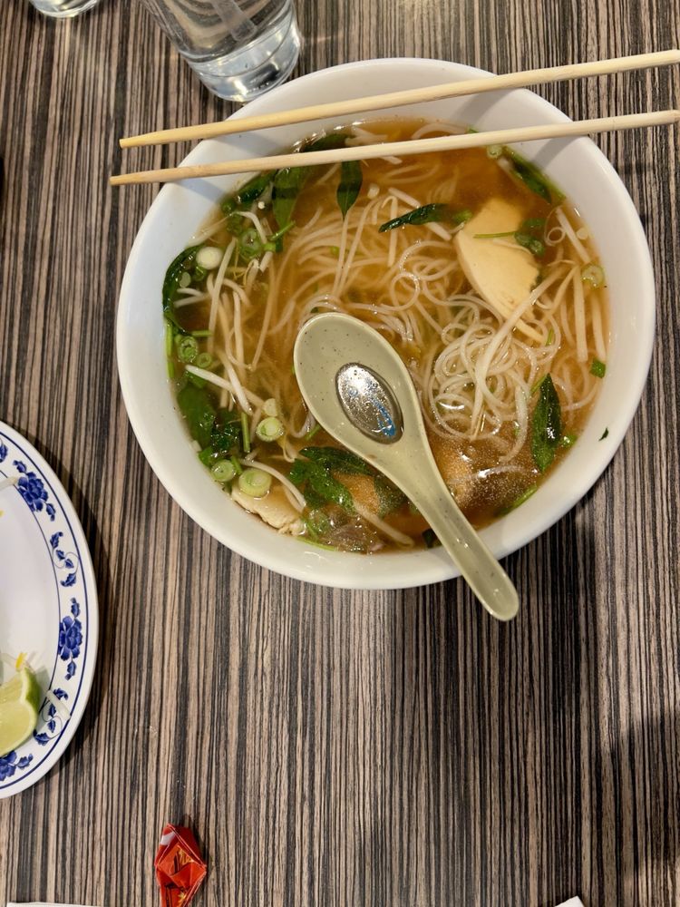 Bowl of chicken pho with rice noodles, sliced chicken, basil and green onion in golden broth