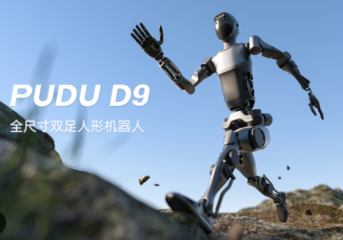 image of PUDU D9 image of PUDU D9