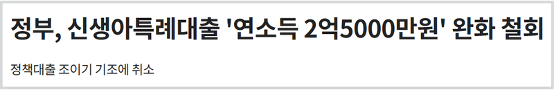 신생아특례대출 연소득 완화 철회