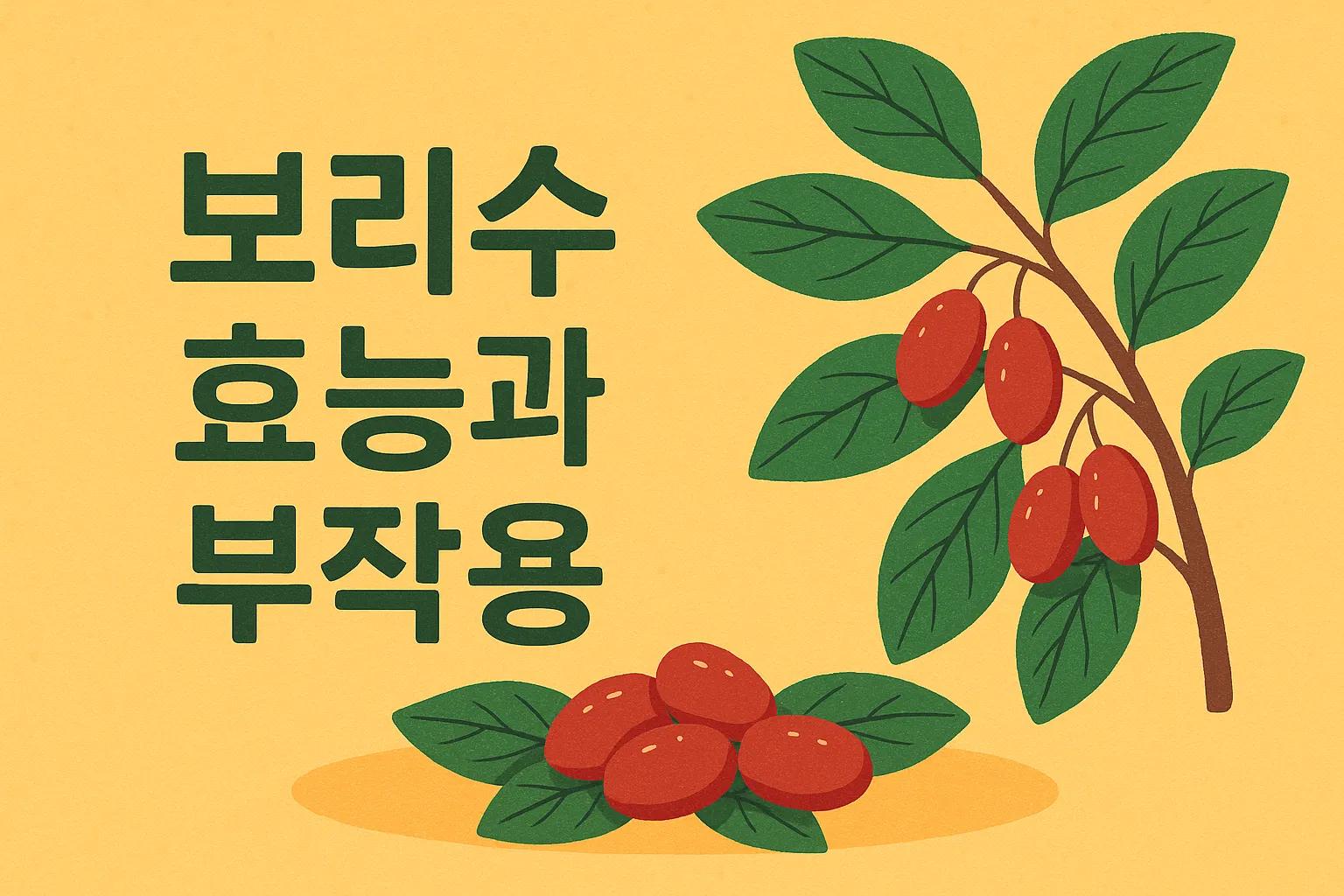 보리수 효능과 부작용: 기침, 천식부터 면역력까지 효과 있다?