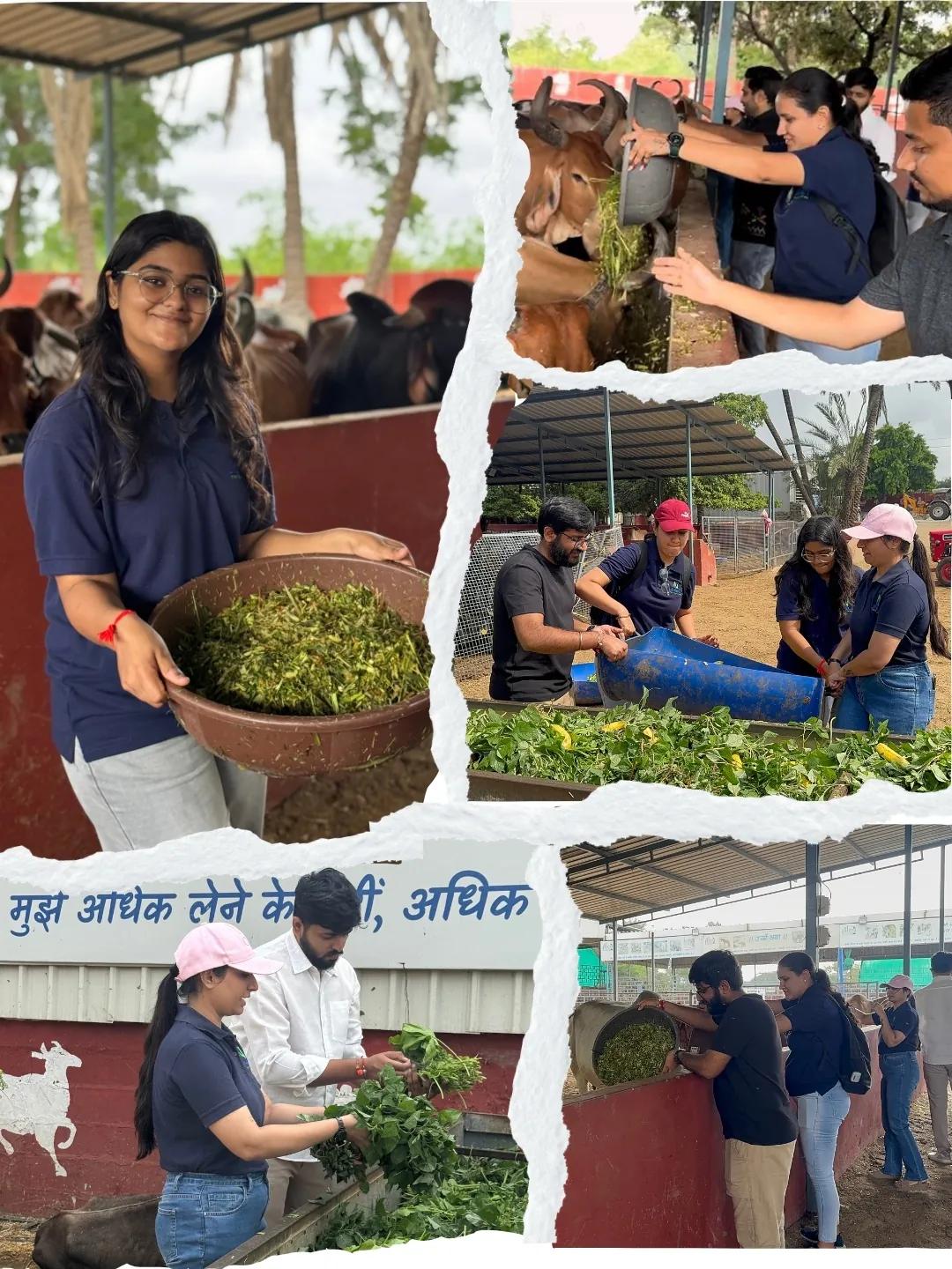 Jignect Cares: A Morning of Compassion at Vaikunthdham