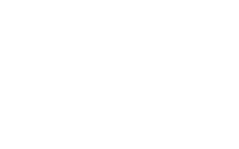 DevAssure