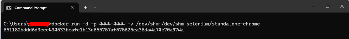 docker-run