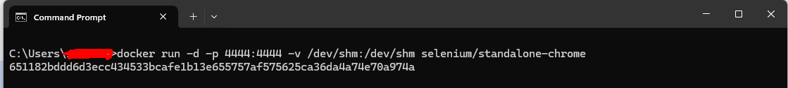 docker-run