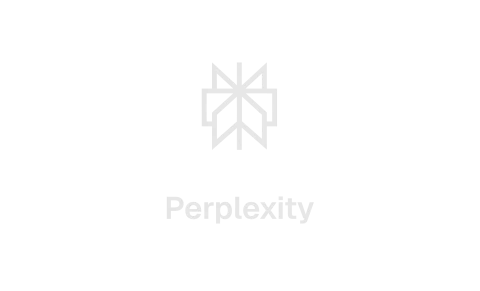 Perplexity