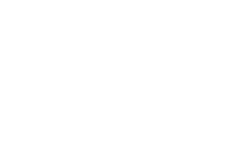 Watir