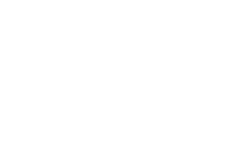 FullStory
