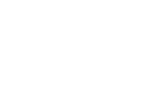 Tricentis Testim