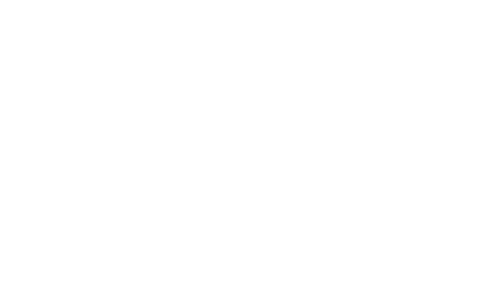 Sahi Pro