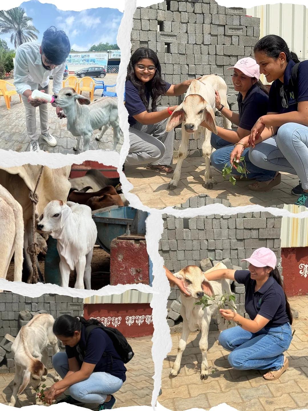 Jignect Cares: A Morning of Compassion at Vaikunthdham