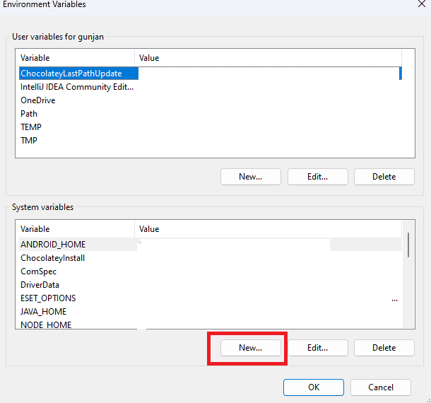 Environment-variable-setup