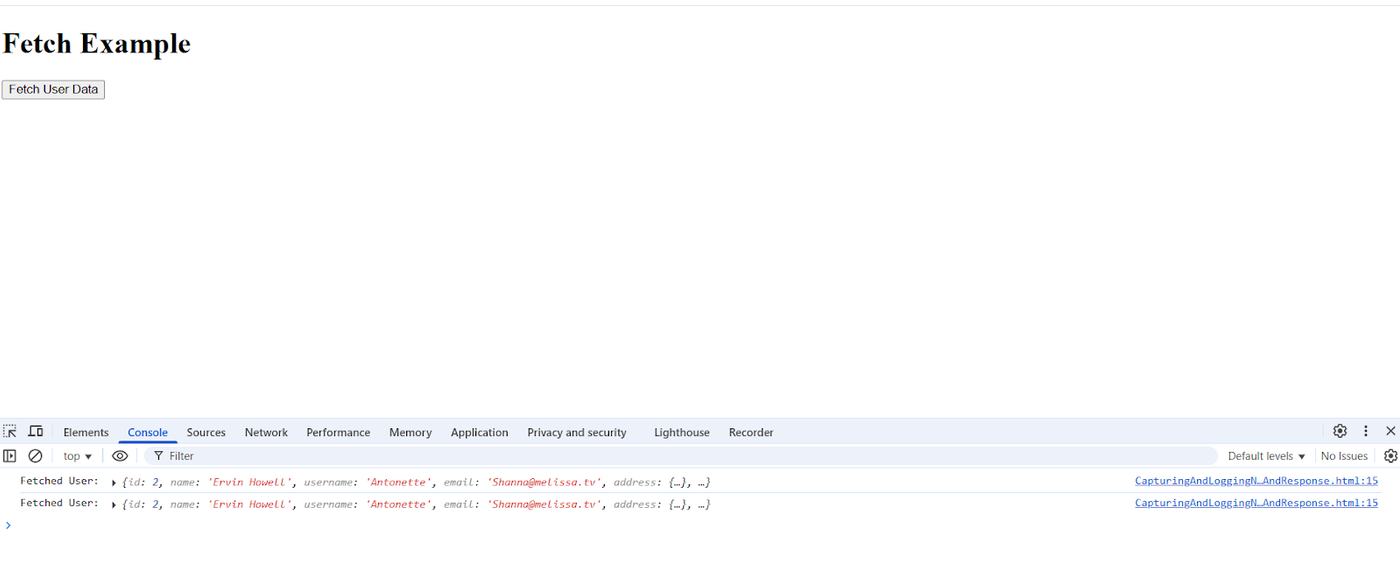 fetch-example-image
