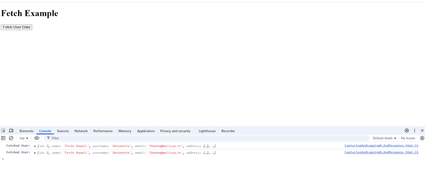 fetch-example-image