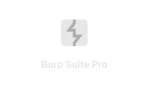 Burp Suite Pro