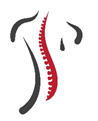 Carson Chiro-Med Logo