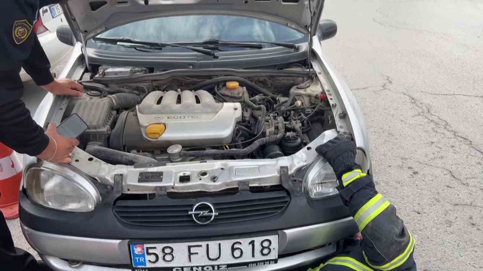 Sürücünün zamanında durması yavru kedinin kurtarılmasını sağladı