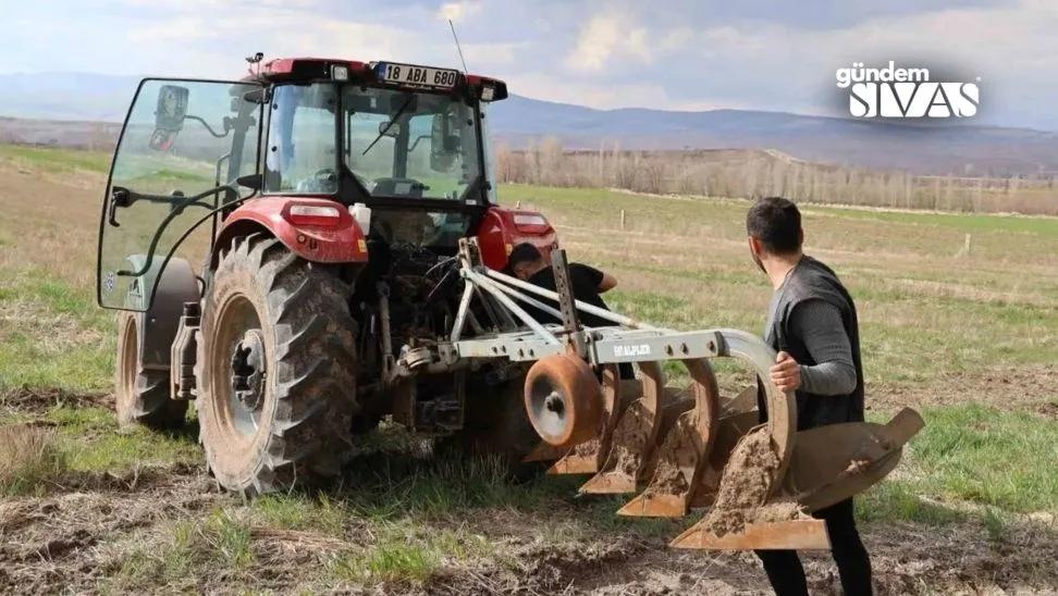 Gazetecilik Okudu Çiftçilik Yapmaya Başladı